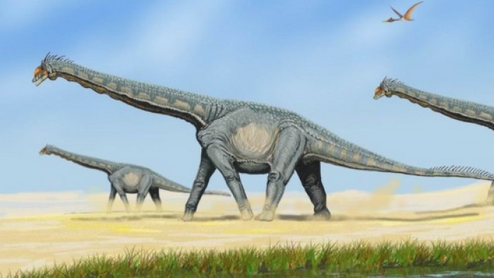 Nejznámější dinosauři: alamosaurus (Dmitrij Bogdanov, CC BY-SA 3.0)