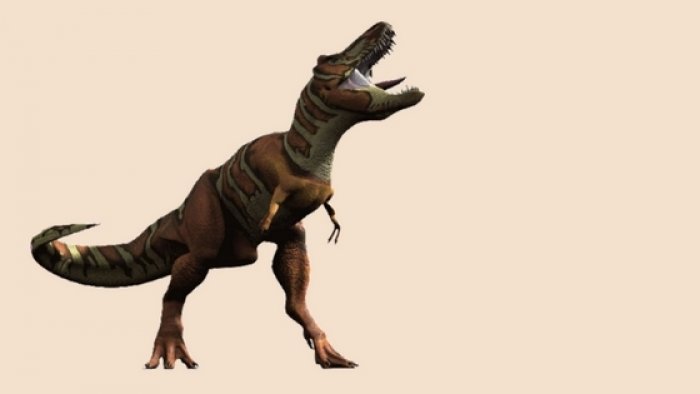 Famous dinosaurs: Tyrannosaurus rex (ScienceKidz NZ)