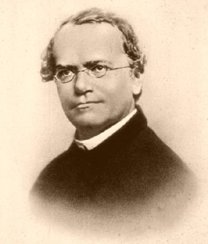 Gregor Mendel (author: not mentioned, public domain)