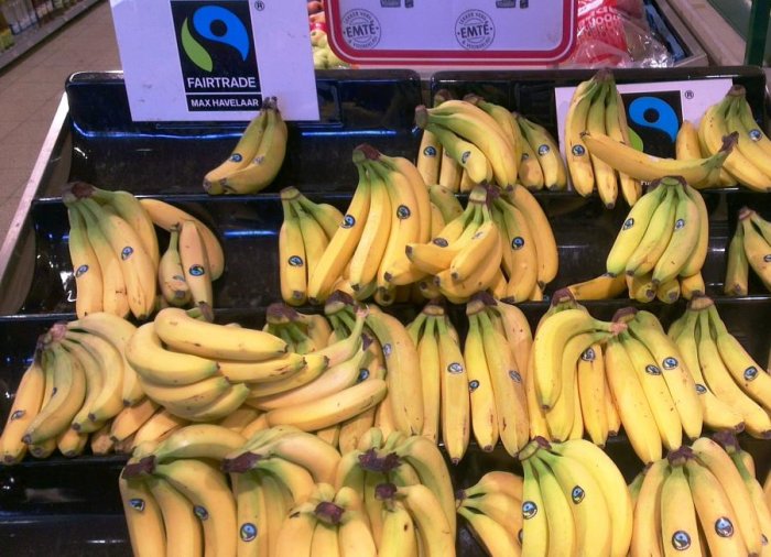 banány s certifikací Fairtrade (foto: Onderwijsgek, CC BY-SA 3.0)